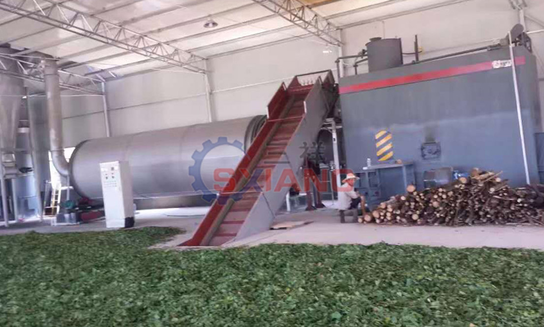 Complete drying equipment for ginkgo leaves